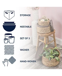 Jonathan Y Gouda Southwestern Hand-Woven Hyacinth Circular Nesting Baskets with Wood Lids, Natural (Set of 3)