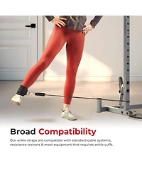 Sunny Health & Fitness Resistance Tube Set, 10-50LBs