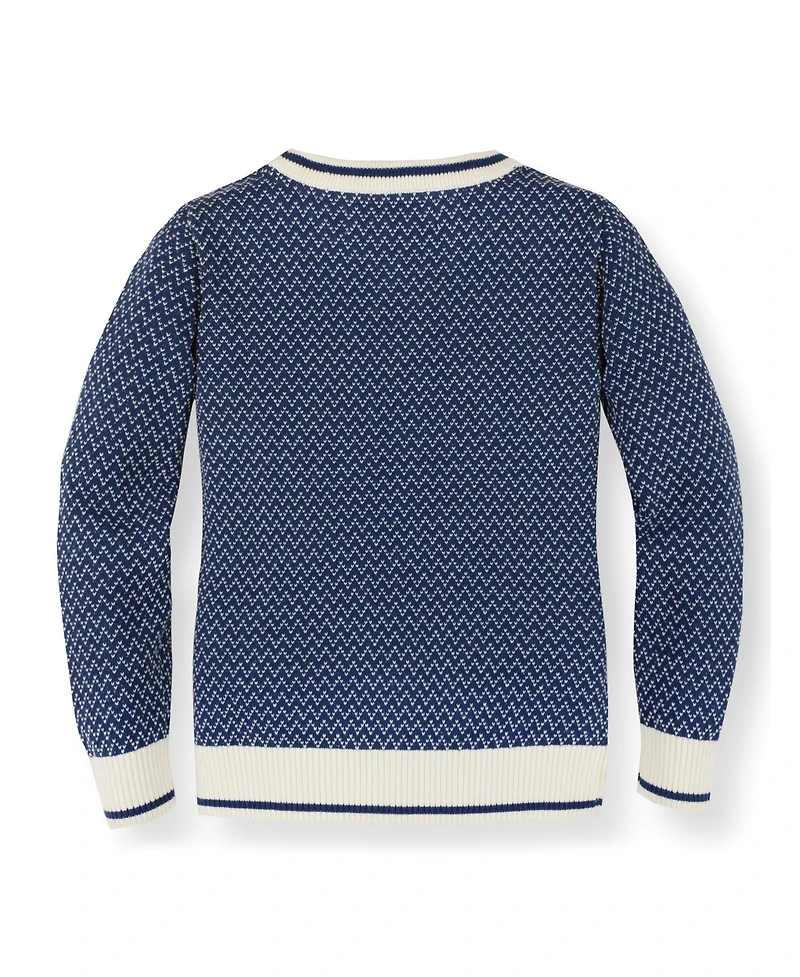 Hope & Henry Baby Boys Organic Cotton Long Sleeve Crew Neck Pullover Sweater