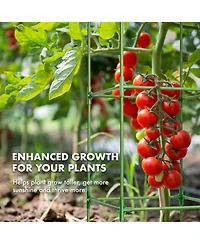 Maggift Tomato Plant Support Cages