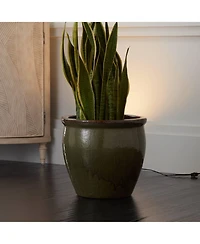 Pro Track Can Mini Uplighting Indoor Accent Spot-Light Plug-In Floor Plant Home Decorative Art Desk Black Finish 6 1/2" High