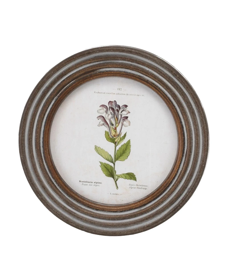 Slickblue Framed Floral Print (Set of 6) 9.5"D Wood/Mdf/Glass