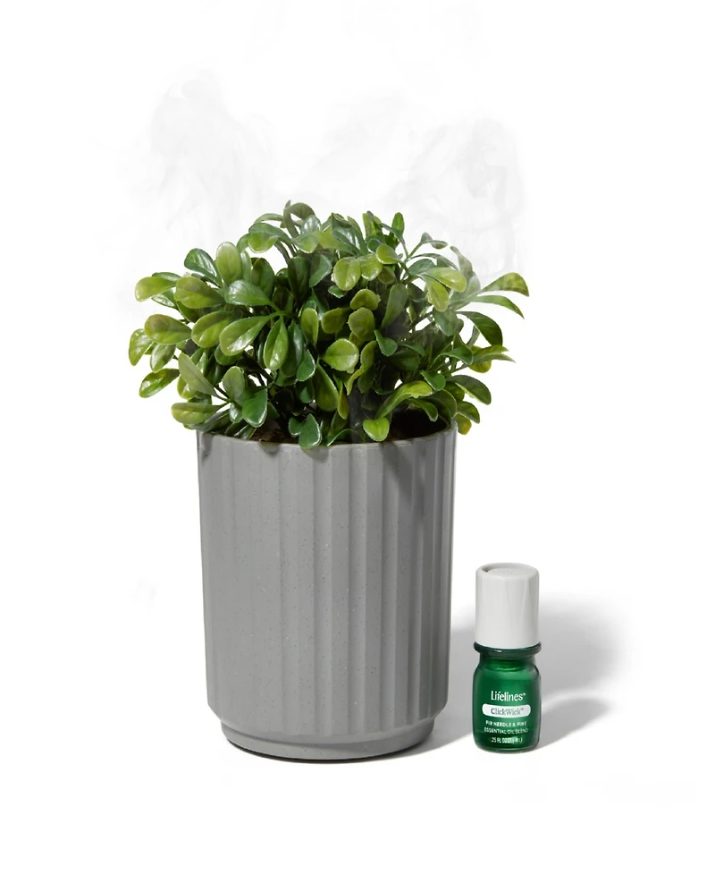 Lifelines Boxwood Plant Diffuser