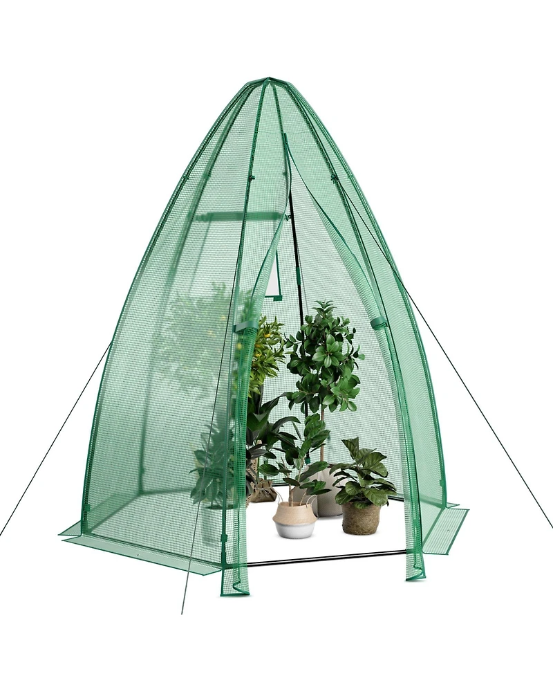 Skonyon 5.5 x 5.5 x 6 Feet Portable Mini Greenhouse with All-Weather Pe Cover