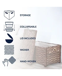 Jonathan Y Jacob Handwoven Wicker Storage Trunk