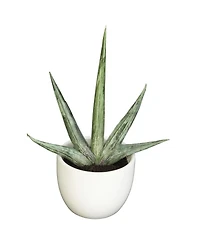 Slickblue Southwest Collection Set of 3 – Vibrant Home Decor for Southwestern Style Interiors
