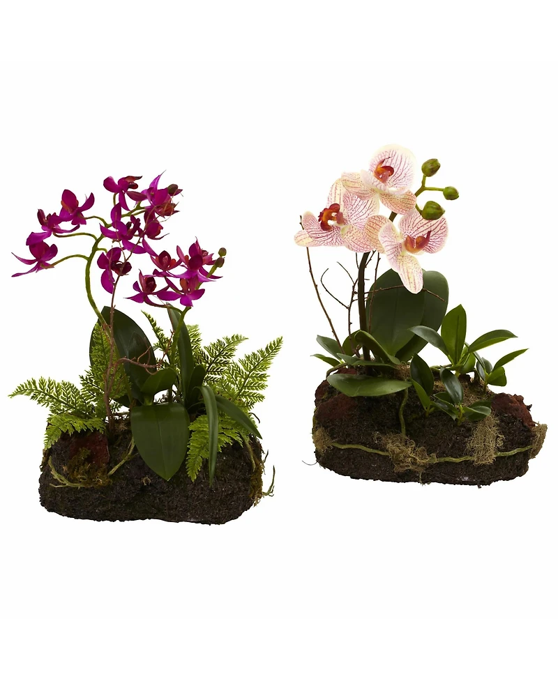 Slickblue Orchid Island Tropical Orchid Arrangement for Exotic Home Decor and Gifts (Set of 2)