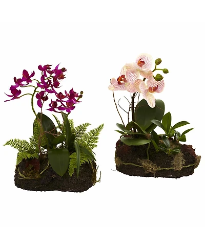 Slickblue Orchid Island Tropical Orchid Arrangement for Exotic Home Decor and Gifts (Set of 2)