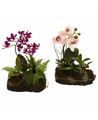 Slickblue Orchid Island Tropical Orchid Arrangement for Exotic Home Decor and Gifts (Set of 2)