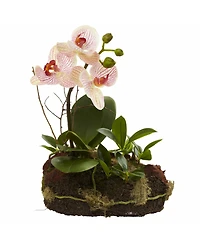 Slickblue Orchid Island Tropical Orchid Arrangement for Exotic Home Decor and Gifts (Set of 2)