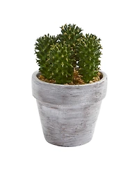 Slickblue Realistic Cactus Artificial Plant for Stylish Home Decor (Set of 3)