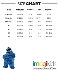 Sesame Street Baby Boys Fleece Pullover Hoodie and Pants Outfit Set
