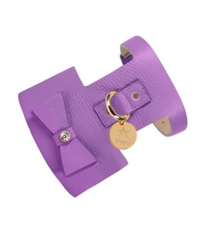 PoisePup Pet Dog Harness