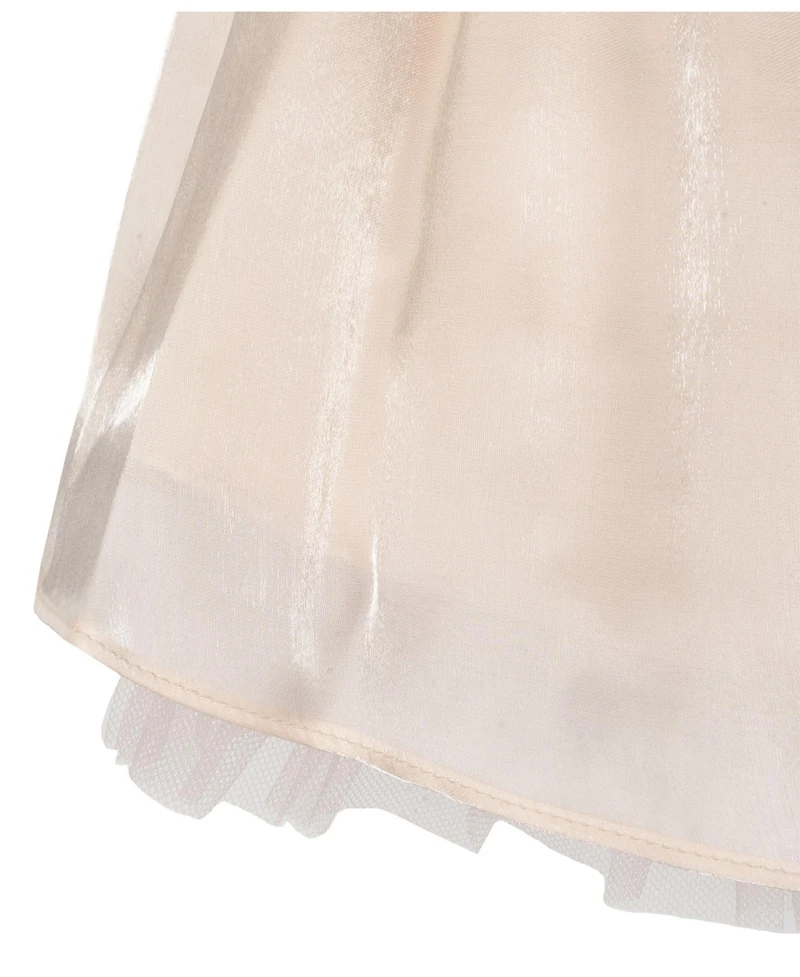 Rare Editions Baby Girls Shimmer Organza Social Dress