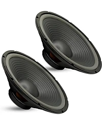 5 Core Subwoofer Speaker 15 Inch Car Subs 450W Max Pro Audio 4Ohm Replacement Subwoofers Para Carro - 2PCS