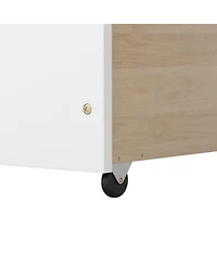 Skonyon Twin House Bed with 2 Storage Drawers and Roof & Fence Rails-White