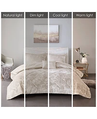 Intelligent Design Felicia Velvet 4-Pc. Comforter Set, Full/Queen