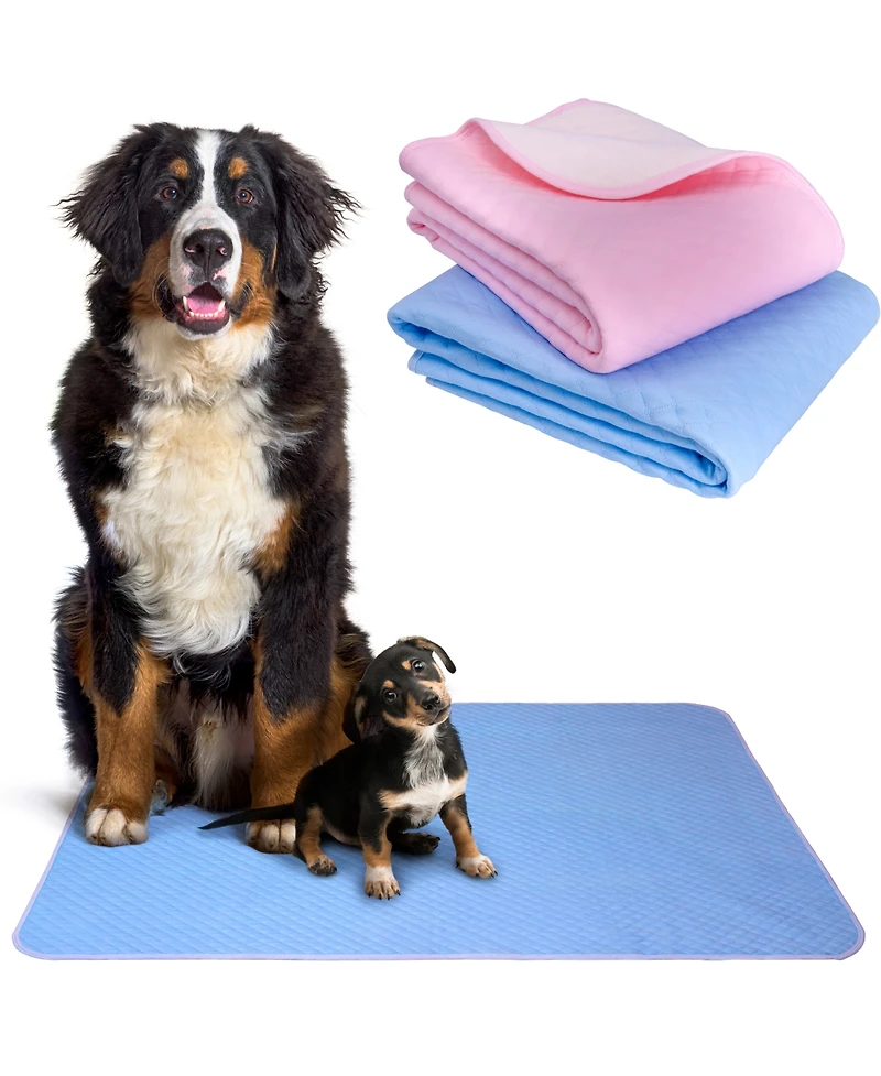 NeatoTek 100% Waterproof Washable pads for Dogs: Xl 2-Pack, Extra Absorbent, Non-Slip