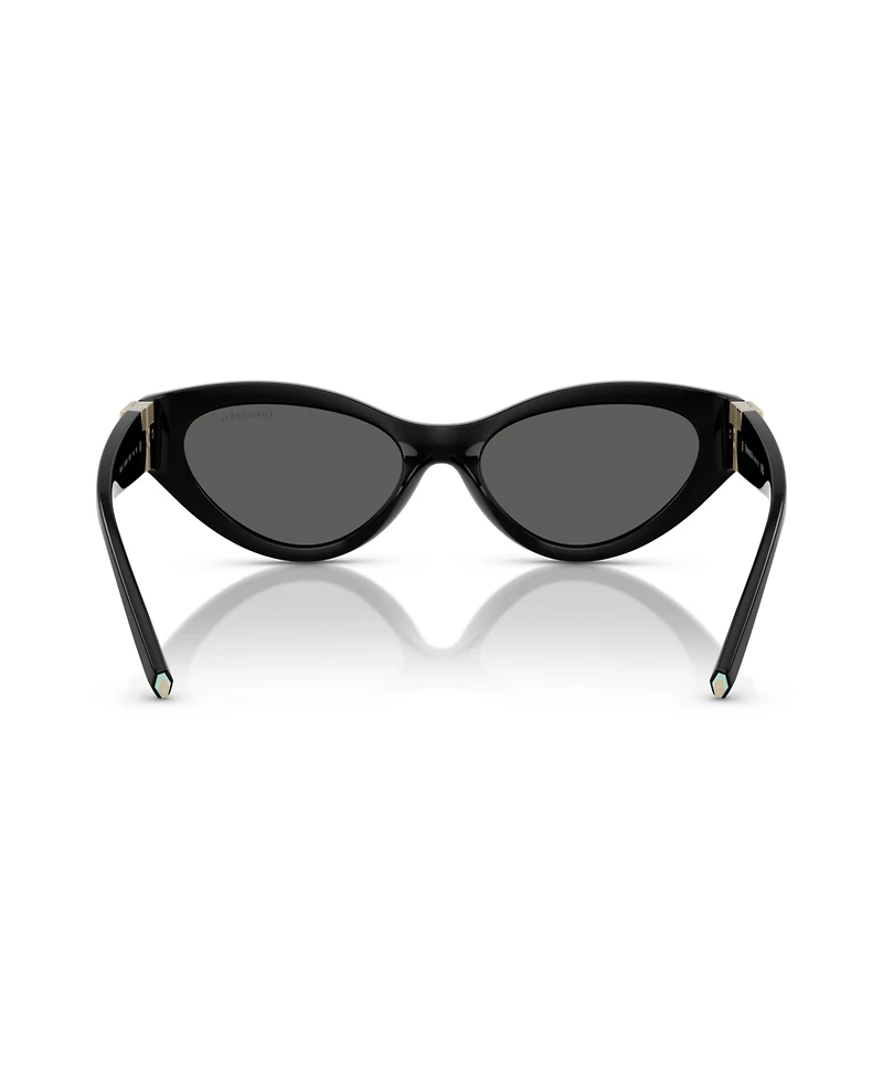 Tiffany & Co. Women's Sunglasses TF4225U