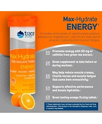 Trace Minerals Max-Hydrate Endurance | Effervescent Tablets | Energy Support | Replenishes Electrolytes & Helps Avoid Muscle Cramps and Muscle Fatigue