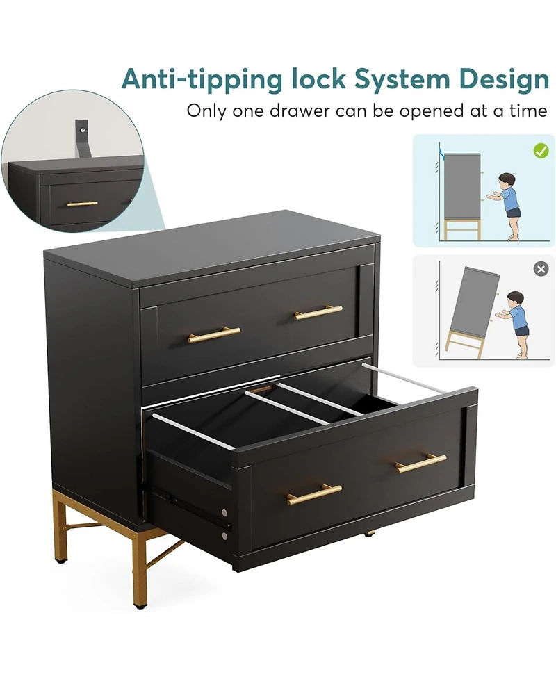 Tribesigns 2 Drawer File Cabinet, Modern Lateral Filing Cabinet for Letter/Legal/A4 Size, Large Storage Cabinets Printer Stand with