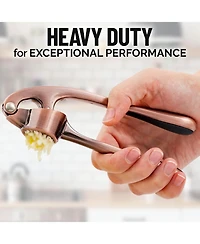 Premium Garlic Press - Durable Masher with Soft, Easy to Squeeze Handle