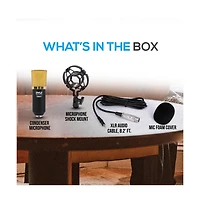 Pyle Large Diaphragm Cardioid Condenser Microphone Kit, Pro Audio with Shock Mount & Xlr Audio Cable