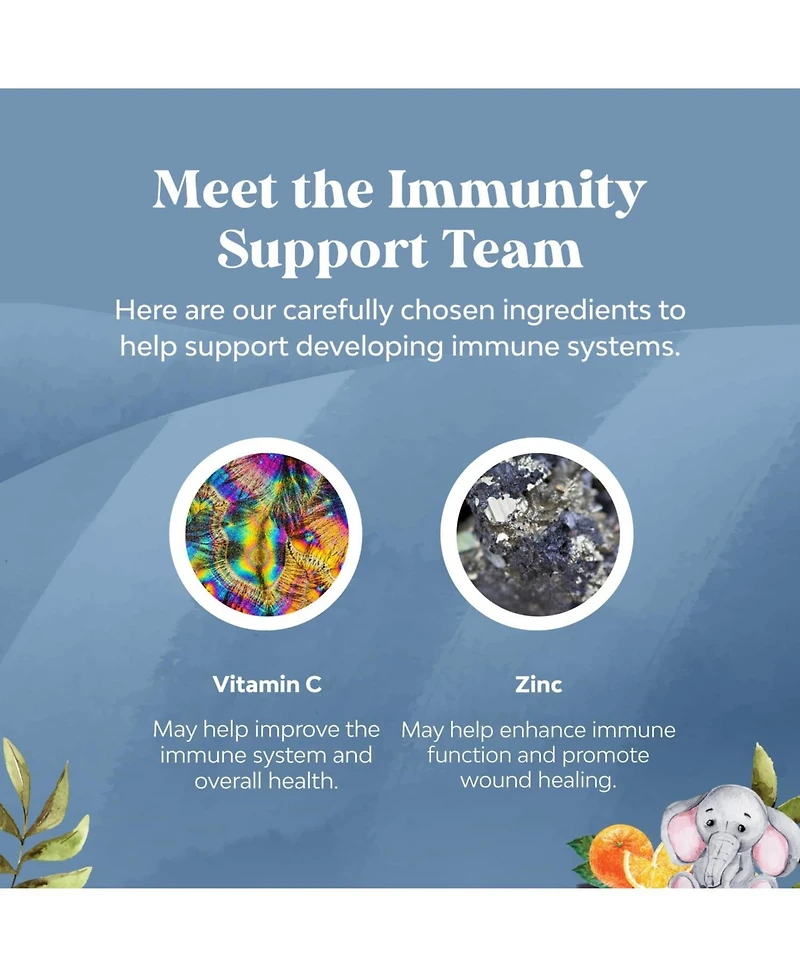 Kids Immunity Gummies, Nature's Craft, 60ct
