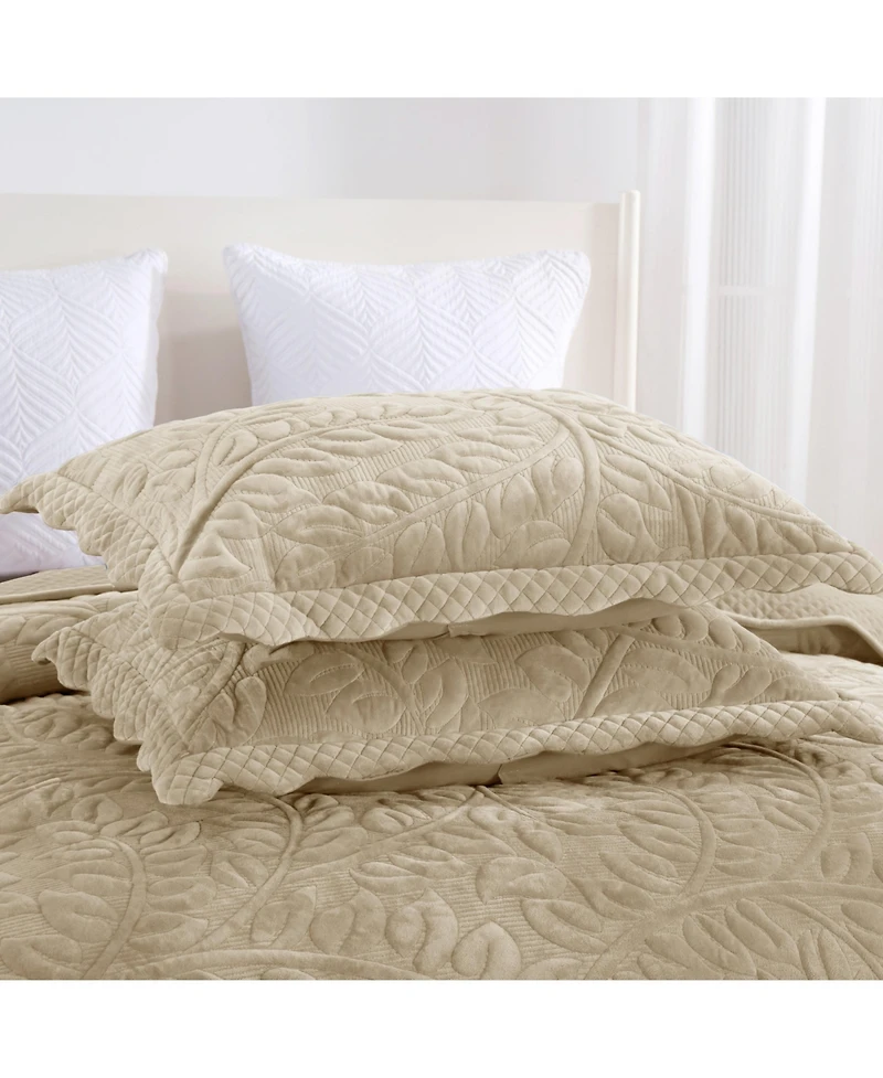 MarCielo 3 Pc Luxury Velvet Oversized Embroidery Soft and Plush Quilt Set King