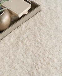 Nourison Home Dreamy Shag DRS05 7'10"x9'10" Area Rug