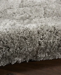 Nourison Home Dreamy Shag DRS03 4'x6' Area Rug