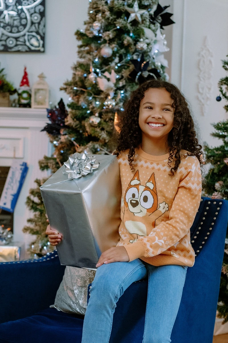 Bluey Girls Bingo Chilli Mom Bandit Dad Christmas Long Sleeve Sweater to