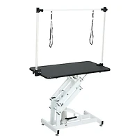 43 Inch Adjustable Heavy Type Hydraulic Pet Dog Grooming Table Upgraded Professional Drying Table Heavy Duty Frame with Adjustable Arm and Noose