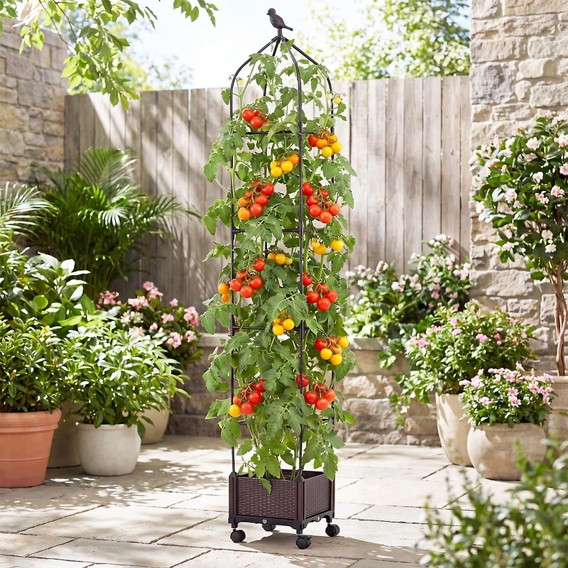 1 Pcs Raised Garden Bed Tomato Cage Planter Box with Pe-Coated Metal Trelli Wheels