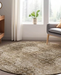 Dalyn Trevi Washable TV16 8'x8' Round Area Rug