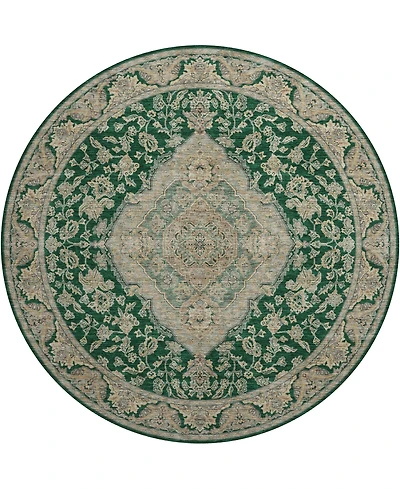 Dalyn Hatay Washable HY3 8'x8' Round Area Rug