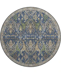 Dalyn Hatay Washable HY6 8'x8' Round Area Rug