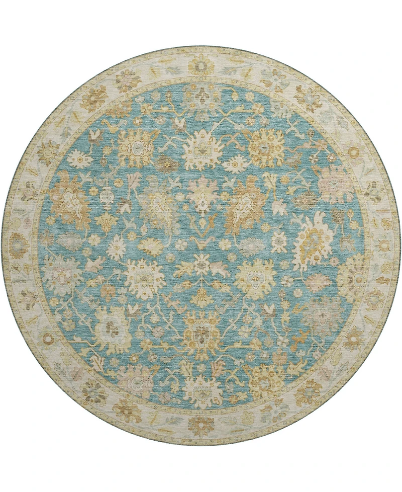 Dalyn Hatay Washable HY2 8'x8' Round Area Rug