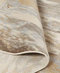 Feizy Parker 3704F 3'9"x5'7" Area Rug