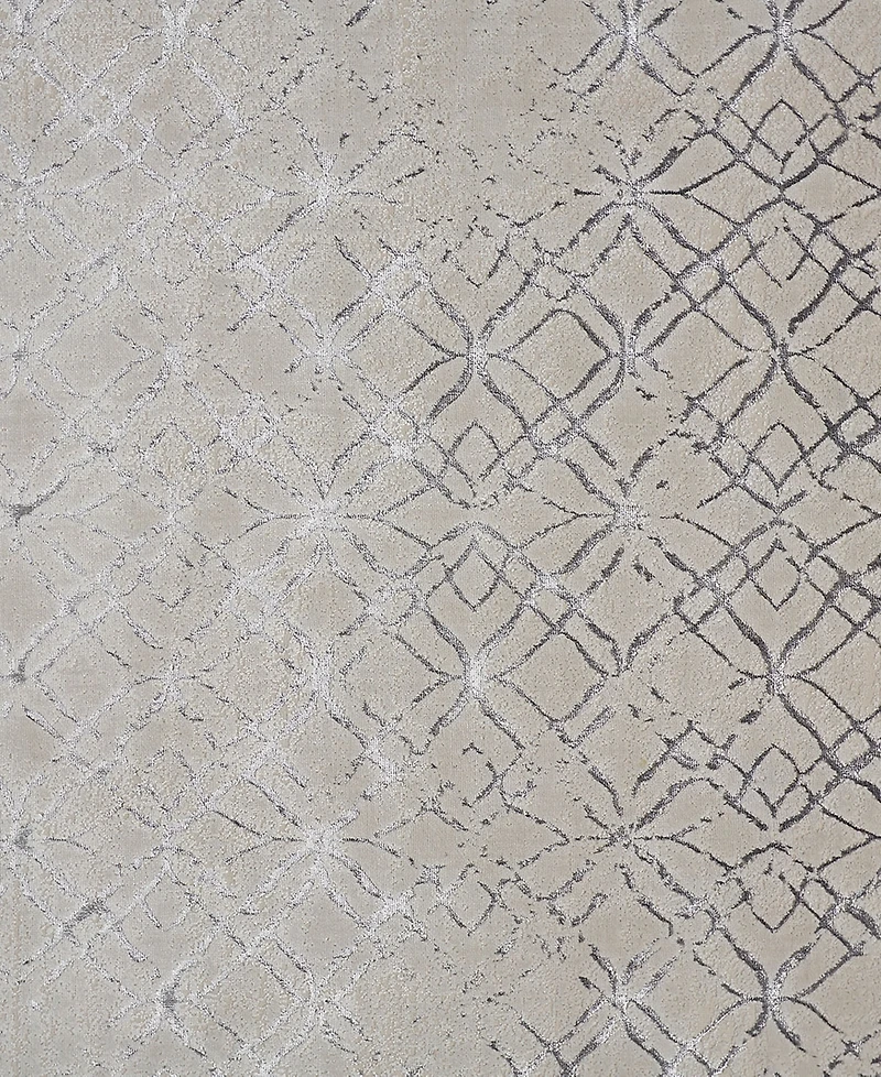 Feizy Micah 3047F 3'11"x6' Area Rug