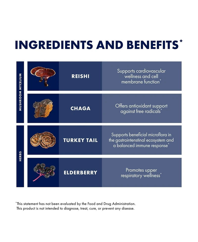 Host Defense Elderberry Plus Syrup - Immune & Respiratory Supplement - Liquid Mushroom Supplement with Turkey Tail, Reishi, Agarikon & Chaga