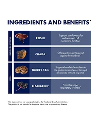 Host Defense Elderberry Plus Syrup - Immune & Respiratory Supplement - Liquid Mushroom Supplement with Turkey Tail, Reishi, Agarikon & Chaga