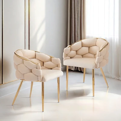 Streamdale Luxurious Accent Chair Duo in Velvet with Gold Accents