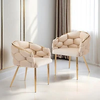 Streamdale Luxurious Accent Chair Duo in Velvet with Gold Accents