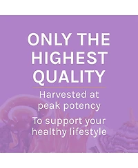 Host Defense Lion's Mane Powder - Brain Health Support Supplement - Mushroom Supplement to Support Focus & Memory Function