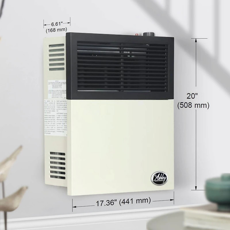 Ashley Hearth Products 11,000 Btu Direct Vent Liquid Propane Wall Mount Heater