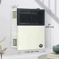 Ashley Hearth Products 11,000 Btu Direct Vent Liquid Propane Wall Mount Heater