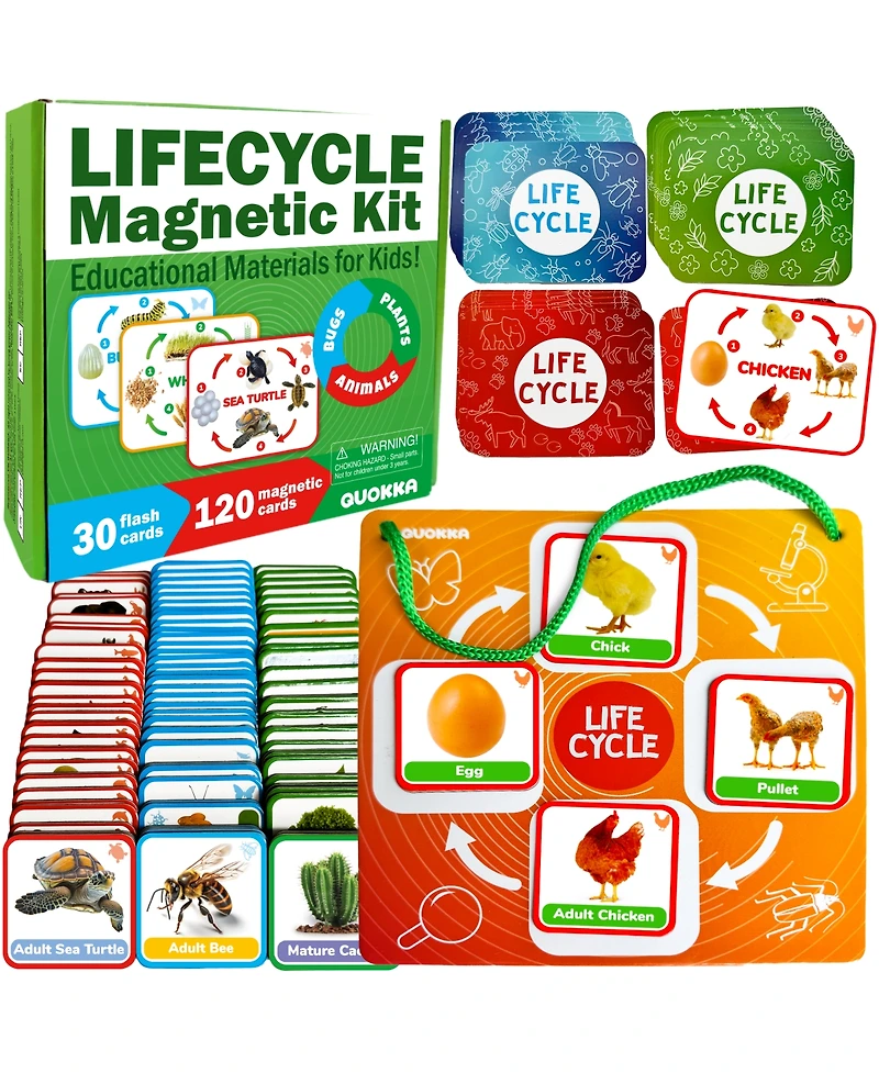 Quokka Life Cycle Kit Toy Montessori - Flash Cards Science Activities