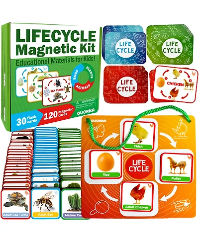 Quokka Life Cycle Kit Toy Montessori - Flash Cards Science Activities