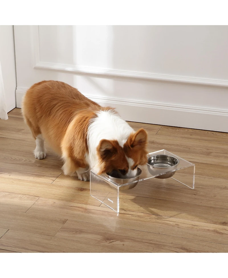 Keaton Modern Acrylic Rectangular Elevated Pet Feeder with 2-Stainless Steel Bowls